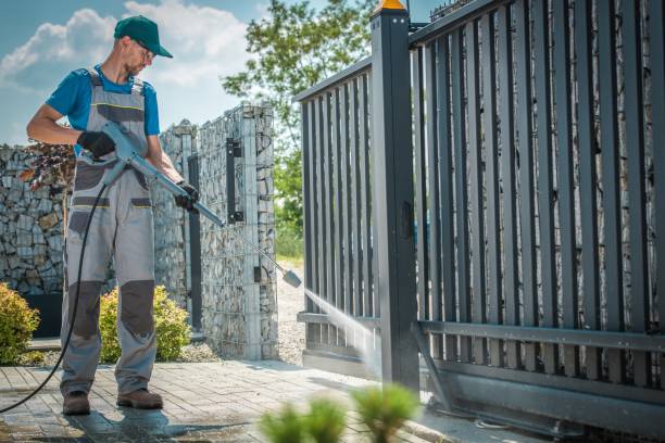 Best Graffiti Removal  in French Valley, CA