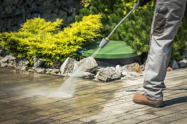 Best Winterizing Services  in French Valley, CA