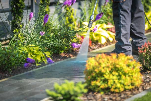 Best Post-Construction Pressure Washing  in French Valley, CA
