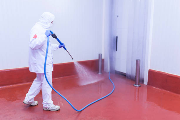 Best Heavy Equipment Washing  in French Valley, CA