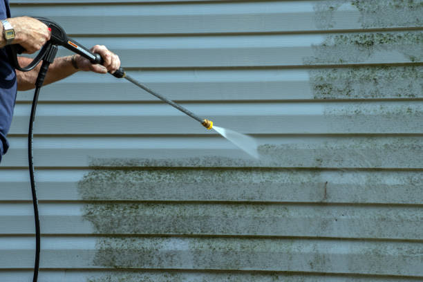 Best Driveway Pressure Washing  in French Valley, CA