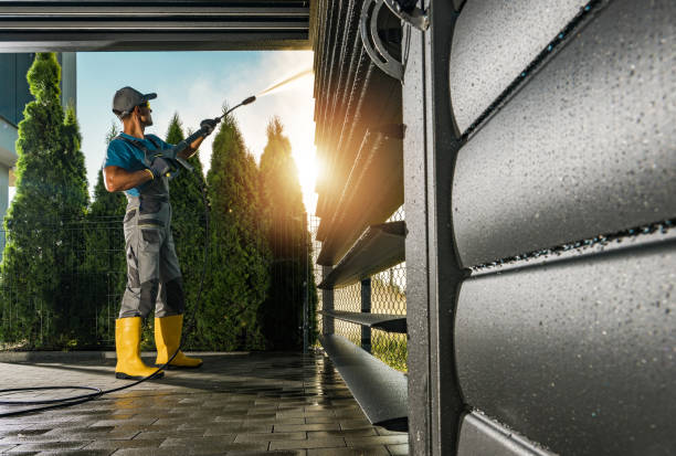 Best Sidewalk and Walkway Cleaning  in French Valley, CA